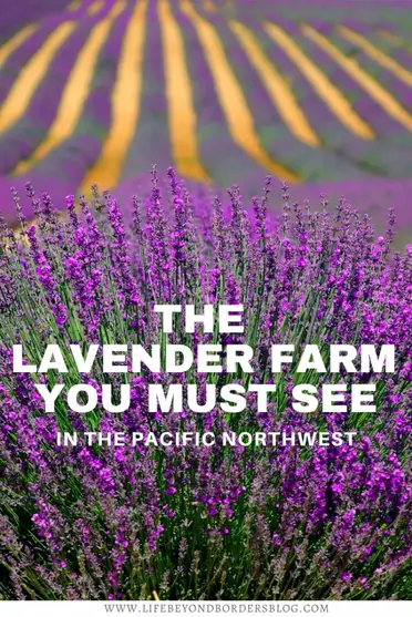 Cooking with Lavender - Pelindaba Lavender - Lavender Products and Lavender  Farm on San Juan Island - Washington