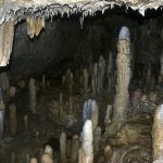 6975342587_32c9934e75_b_Harrisons-Cave-Barbados