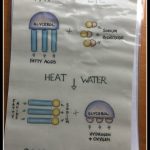 Process of making Soapdaze soap